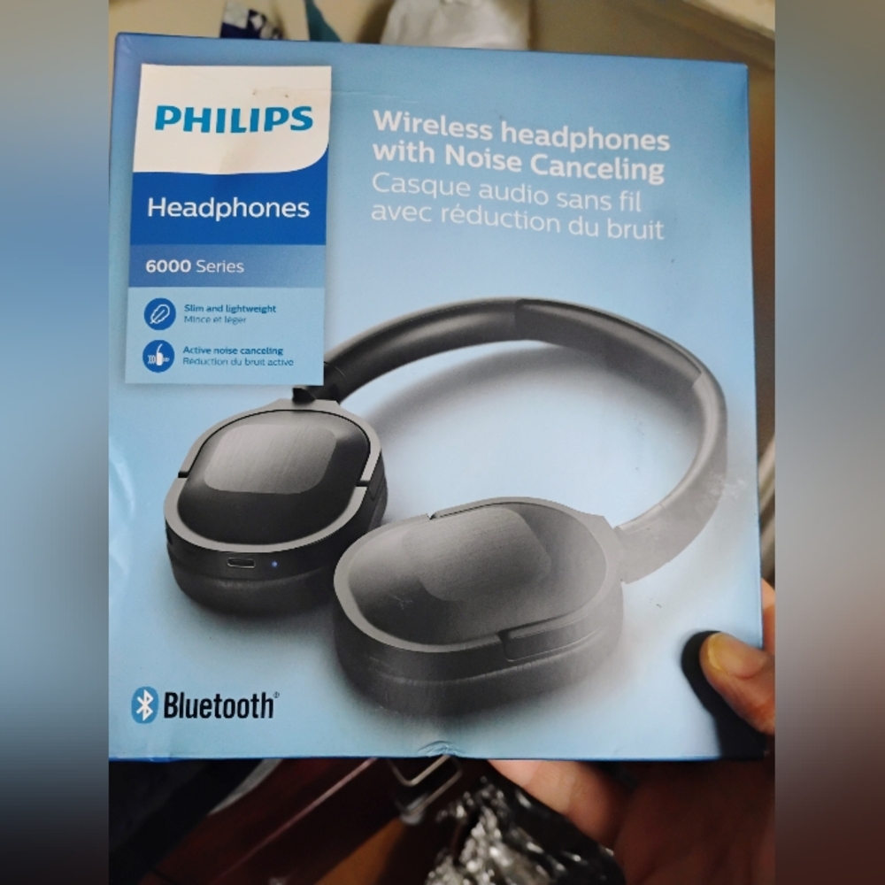 Panasonic headphones Missing One Headmuffler